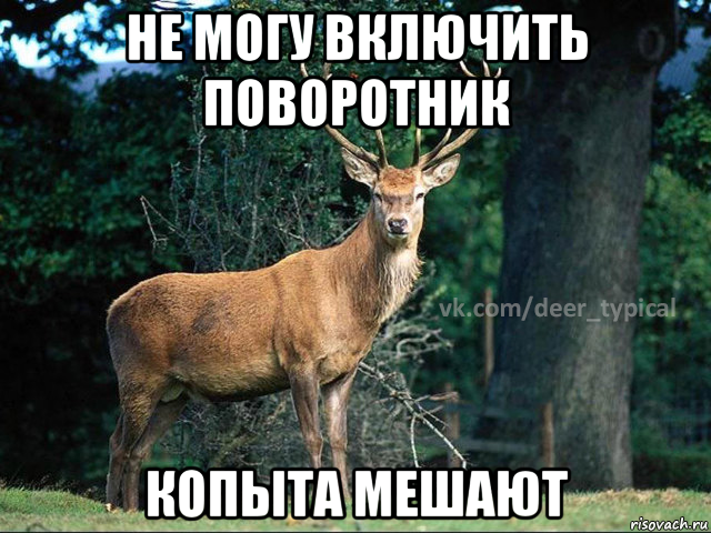 не могу включить поворотник копыта мешают