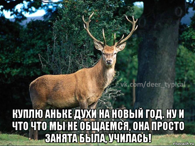  куплю аньке духи на новый год. ну и что что мы не общаемся, она просто занята была, училась!, Мем Паблик Типичный олень