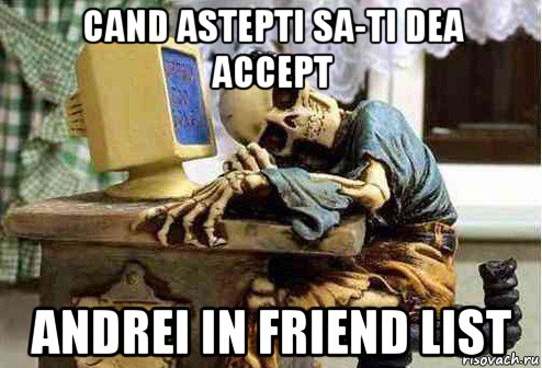 cand astepti sa-ti dea accept andrei in friend list, Мем скелет ждет