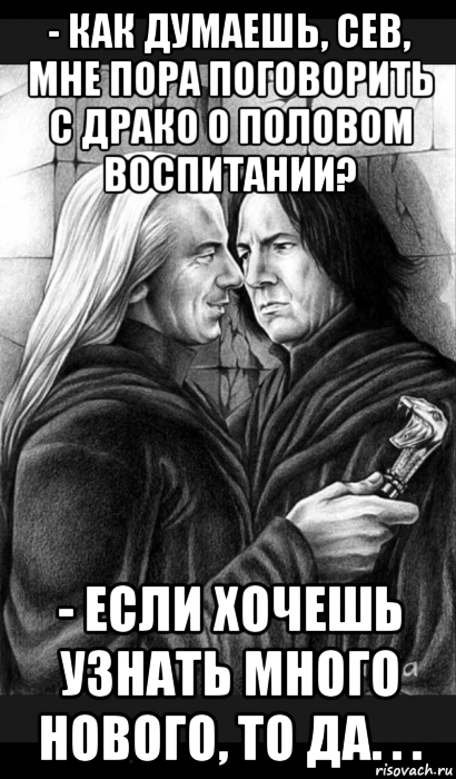 - как думаешь, сев, мне пора поговорить с драко о половом воспитании? - если хочешь узнать много нового, то да. . ., Мем Снейп