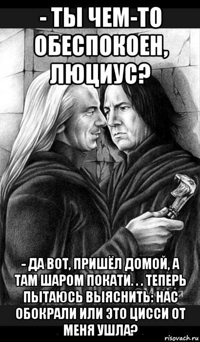 - ты чем-то обеспокоен, люциус? - да вот, пришёл домой, а там шаром покати. . . теперь пытаюсь выяснить: нас обокрали или это цисси от меня ушла?, Мем Снейп