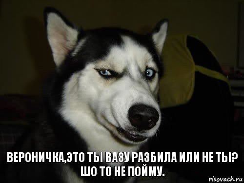 Вероничка,это ты вазу разбила или не ты?
Шо то не пойму., Комикс  Собака подозревака