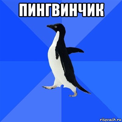 пингвинчик , Мем  Социально-неуклюжий пингвин