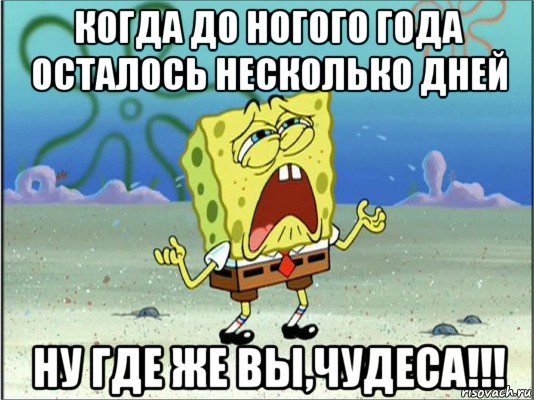 когда до ногого года осталось несколько дней ну где же вы,чудеса!!!, Мем Спанч Боб плачет