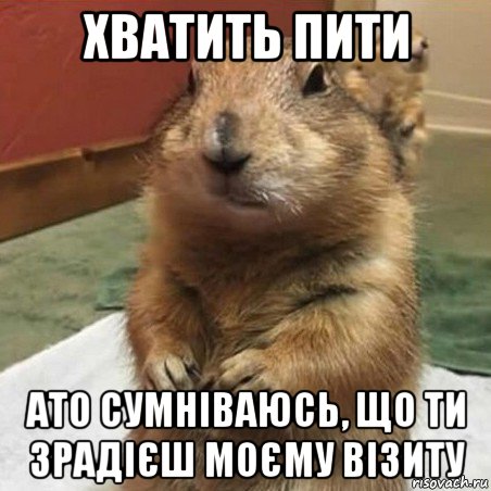 хватить пити ато сумніваюсь, що ти зрадієш моєму візиту, Мем Суслик спрашивает