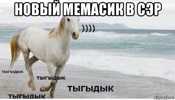 новый мемасик в сэр , Мем   Тыгыдык