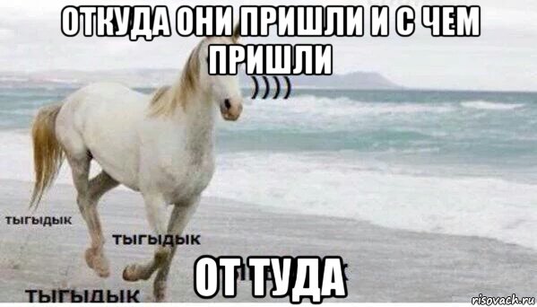 откуда они пришли и с чем пришли от туда, Мем   Тыгыдык