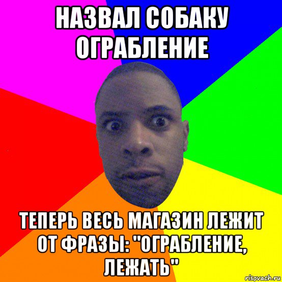 назвал собаку ограбление теперь весь магазин лежит от фразы: "ограбление, лежать", Мем  Типичный Негр