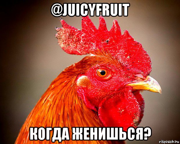 @juicyfruit когда женишься?, Мем Типичный петух