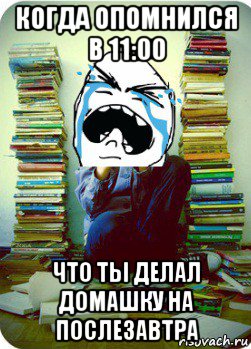 когда опомнился в 11:00 что ты делал домашку на послезавтра, Мем Типовий десятикласник