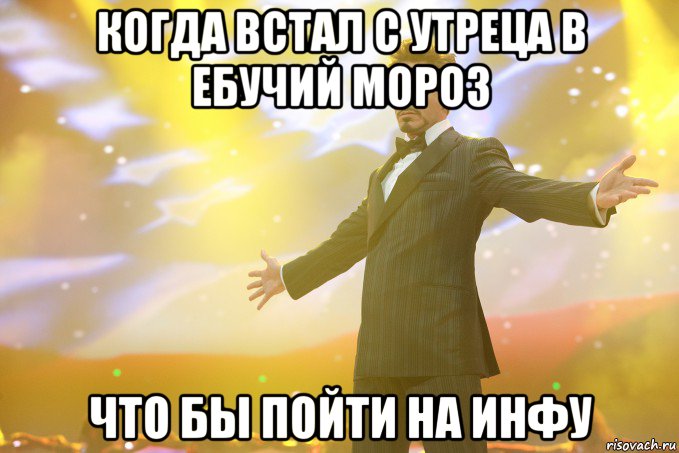 когда встал с утреца в ебучий мороз что бы пойти на инфу, Мем Тони Старк (Роберт Дауни младший)