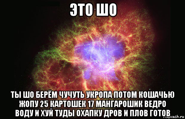 это шо ты шо берём чучуть укропа потом кошачью жопу 25 картошек 17 мангарошик ведро воду и хуй туды охапку дров и плов готов, Мем Туманность