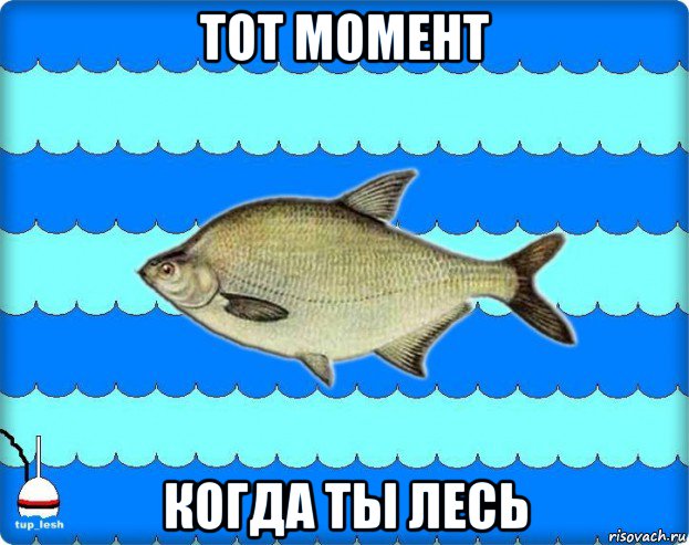 тот момент когда ты лесь, Мем Тупичный лещ