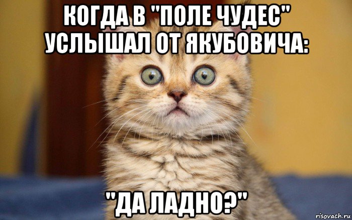 когда в "поле чудес" услышал от якубовича: "да ладно?", Мем  удивление