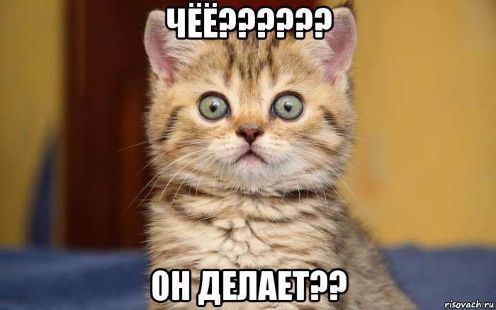 чёё?????? он делает??, Мем  удивление