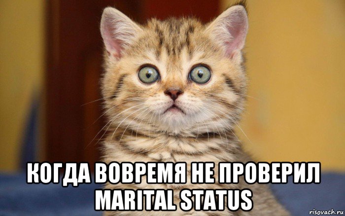  когда вовремя не проверил marital status, Мем  удивление