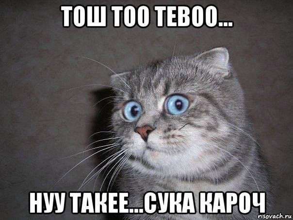 тош тоо тевоо... нуу такее...сука кароч, Мем  удивлённый кот