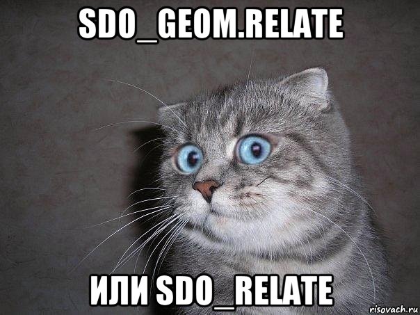 sdo_geom.relate или sdo_relate, Мем  удивлённый кот