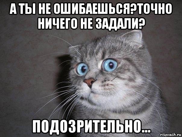 а ты не ошибаешься?точно ничего не задали? подозрительно..., Мем  удивлённый кот