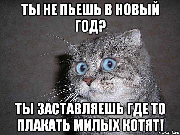 ты не пьешь в новый год? ты заставляешь где то плакать милых котят!, Мем  удивлённый кот