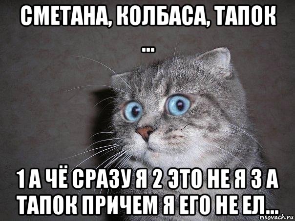 сметана, колбаса, тапок ... 1 а чё сразу я 2 это не я 3 а тапок причем я его не ел..., Мем  удивлённый кот