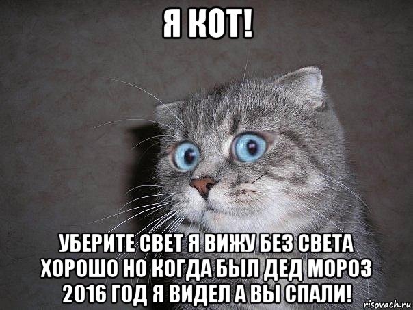 я кот! уберите свет я вижу без света хорошо но когда был дед мороз 2016 год я видел а вы спали!, Мем  удивлённый кот