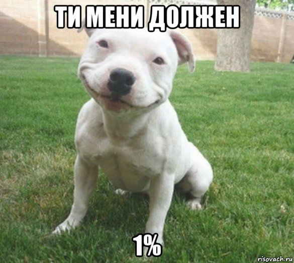 ти мени должен 1%, Мем  улыбака