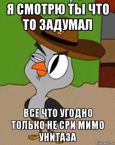 я смотрю ты что то задумал все что угодно только не сри мимо унитаза, Мем    Упоротая сова