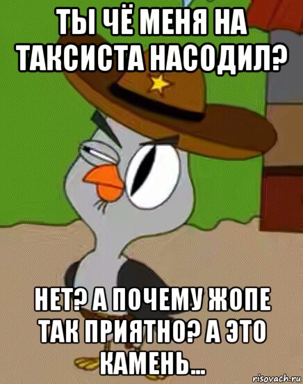 ты чё меня на таксиста насодил? нет? а почему жопе так приятно? а это камень..., Мем    Упоротая сова