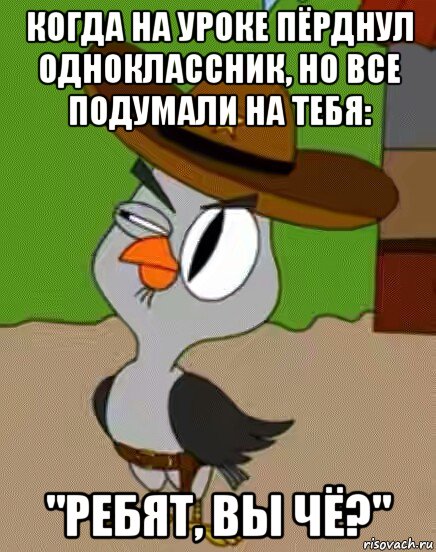 когда на уроке пёрднул одноклассник, но все подумали на тебя: "ребят, вы чё?", Мем    Упоротая сова