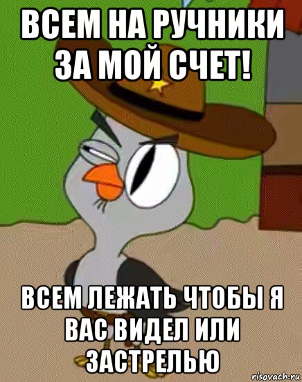 всем на ручники за мой счет! всем лежать чтобы я вас видел или застрелью, Мем    Упоротая сова