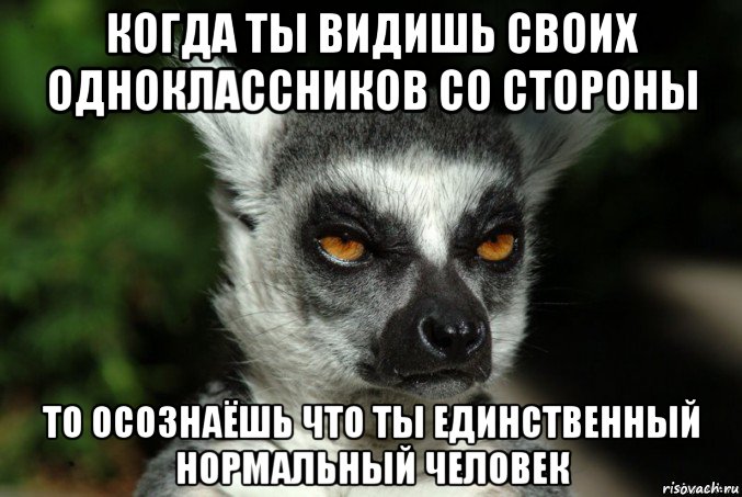 когда ты видишь своих одноклассников со стороны то осознаёшь что ты единственный нормальный человек, Мем   Я збагоен