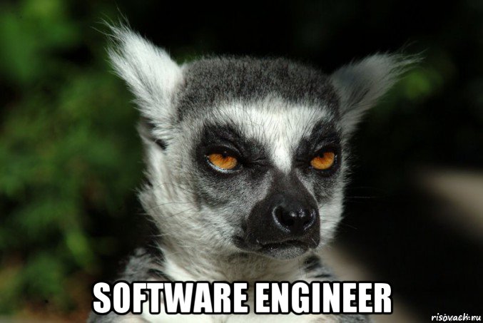  software engineer, Мем   Я збагоен