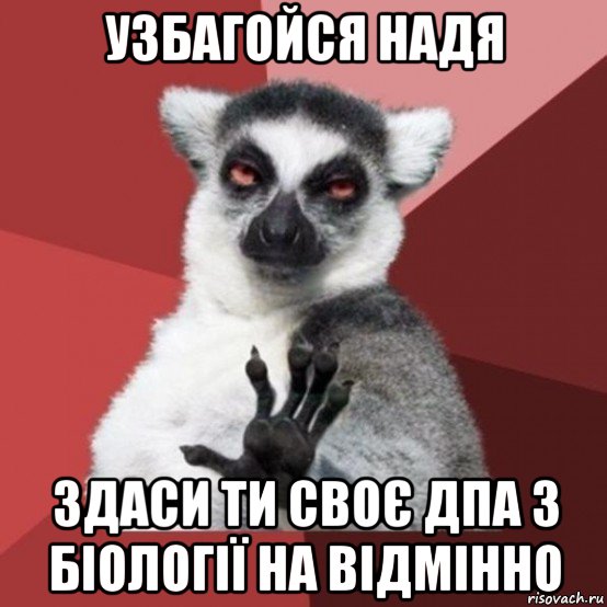 узбагойся надя здаси ти своє дпа з біології на відмінно, Мем Узбагойзя