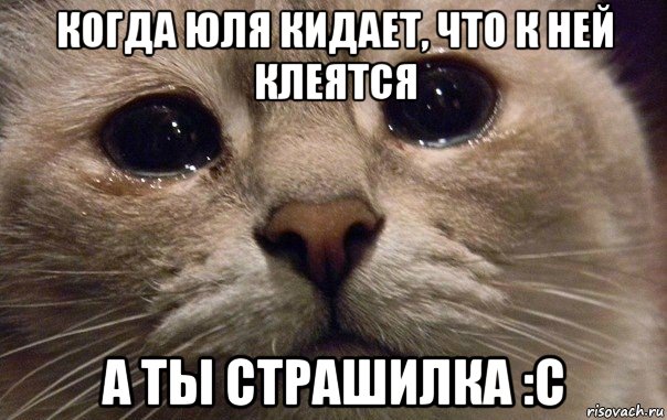 когда юля кидает, что к ней клеятся а ты страшилка :с, Мем   В мире грустит один котик