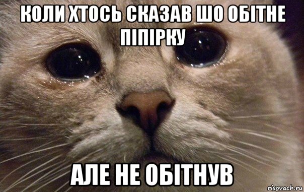 коли хтось сказав шо обітне піпірку але не обітнув, Мем   В мире грустит один котик