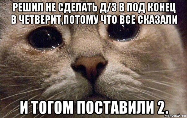 решил не сделать д/з в под конец в четверит,потому что все сказали и тогом поставили 2., Мем   В мире грустит один котик