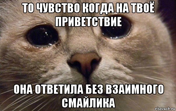 то чувство когда на твоё приветствие она ответила без взаимного смайлика, Мем   В мире грустит один котик