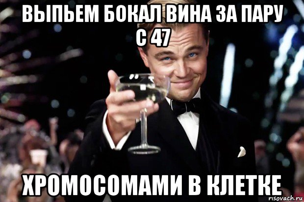 выпьем бокал вина за пару с 47 хромосомами в клетке, Мем Великий Гэтсби (бокал за тех)