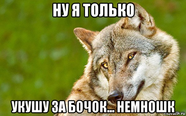 ну я только укушу за бочок... немношк, Мем   Volf