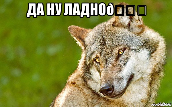 Мем   Volf