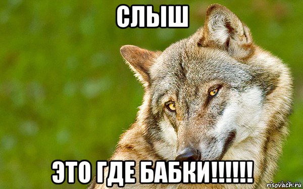 слыш это где бабки!!!!!!, Мем   Volf