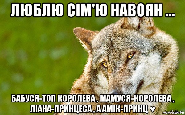 люблю сім'ю навоян ... бабуся-топ королева , мамуся-королева , ліана-принцеса , а амік-принц ♥, Мем   Volf