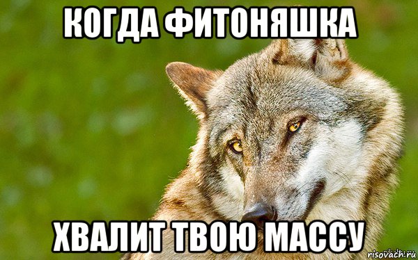 когда фитоняшка хвалит твою массу, Мем   Volf