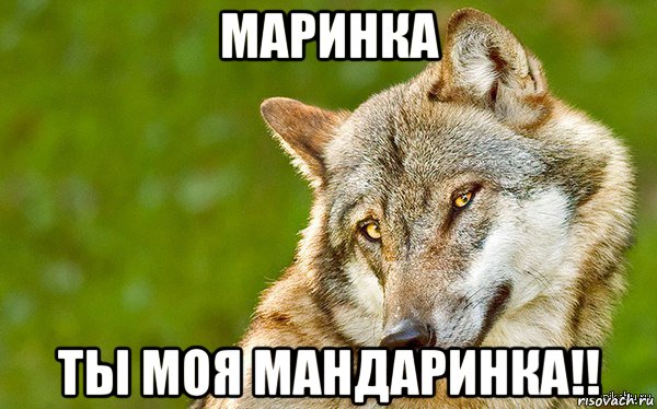 маринка ты моя мандаринка!!, Мем   Volf