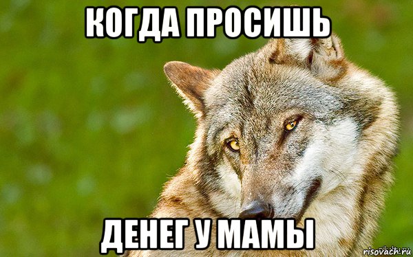 когда просишь денег у мамы, Мем   Volf