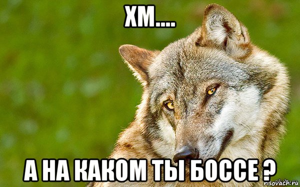 хм.... а на каком ты боссе ?, Мем   Volf