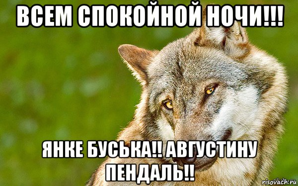 всем спокойной ночи!!! янке буська!! августину пендаль!!, Мем   Volf