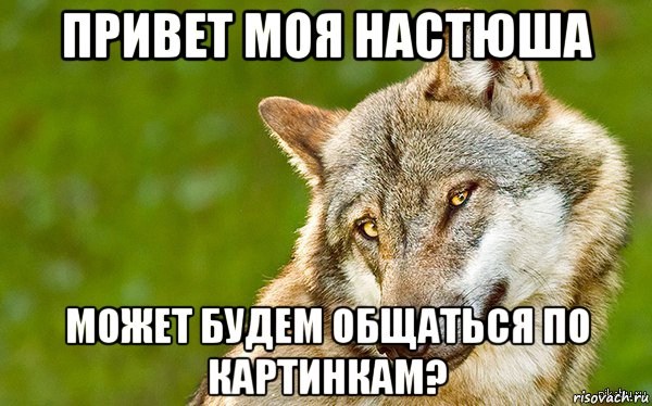 привет моя настюша может будем общаться по картинкам?, Мем   Volf