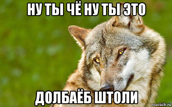 ну ты чё ну ты это долбаёб штоли, Мем   Volf